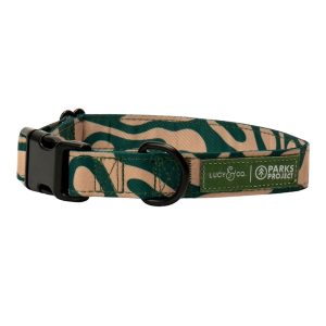 Lucy & Co. Geyser Adjustable Dog Collar