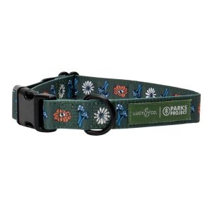 Lucy & Co. Power to the Parks Adjustable Dog Collar