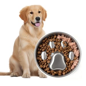 PawsPik Stainless Steel Four-Ridge Slow Feeder Dog Bowl