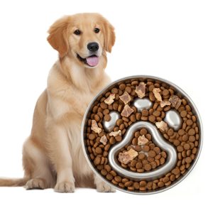 PawsPik Stainless Steel Three-Ridge Slow Feeder Dog Bowl