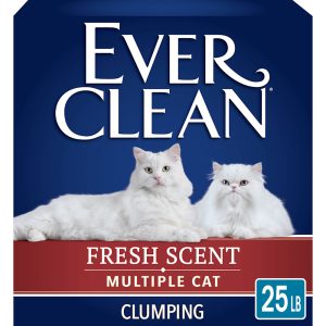 Ever Clean Multi-Cat Fresh Scented Clumping Cat Litter