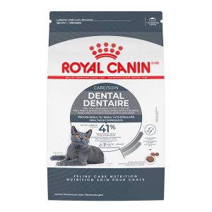 Royal Canin Feline Care Nutrition Dental Care Adult Dry Cat Food