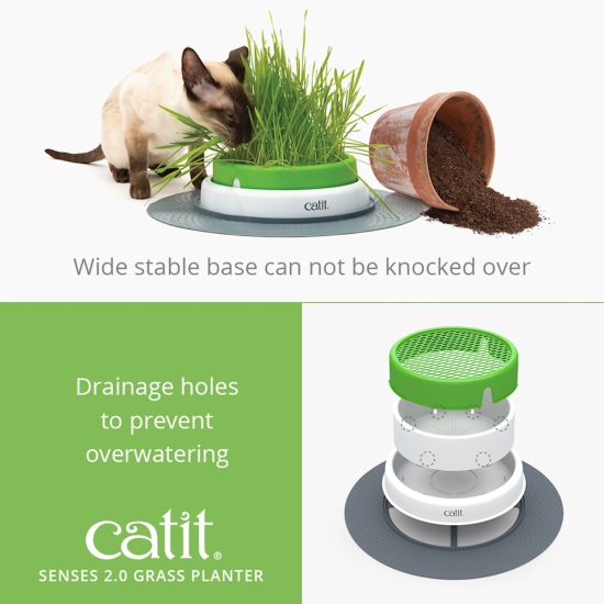 2512481-center-3.jpg 2512481-center-3.jpg