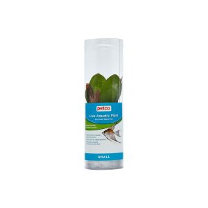 Green Ozelot Sword (Echinodorus ozelot) - Aquarium Tube Plant