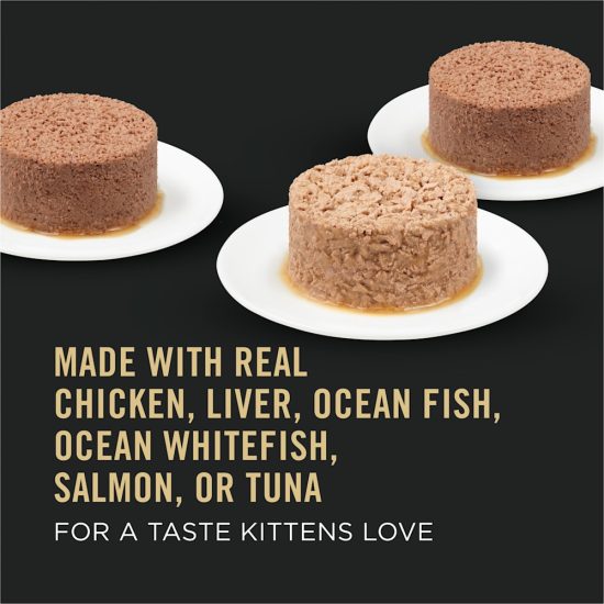 2750534-center-3.jpg 2750534-center-3.jpg