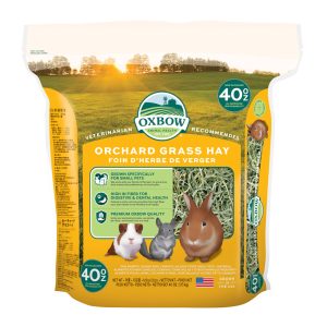 Oxbow Orchard Grass Hay