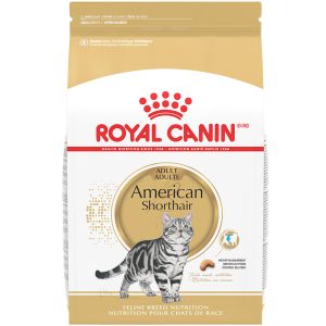 Royal Canin Feline Breed Nutrition American Shorthair Adult Dry Cat Food