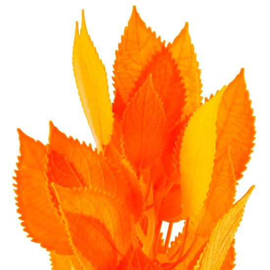 3348782-center-4.jpg