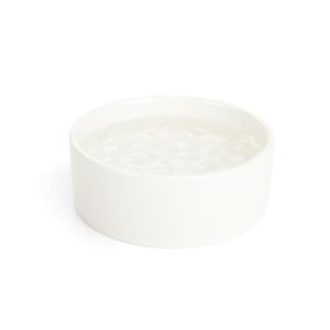 EveryYay Dining In Small Animal Bowl