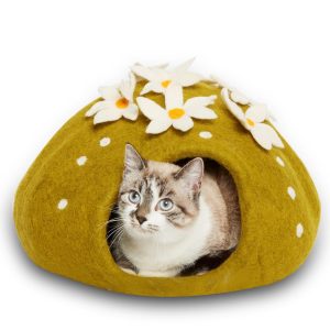 Dharma Dog Karma Cat Cactus Wool Pet Cave