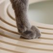 3407762-center-5.jpg