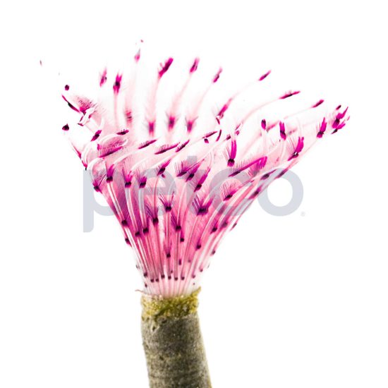 3466498-center-1.jpg 3466498-center-1.jpg