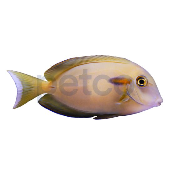 3469154-center-1.jpg 3469154-center-1.jpg