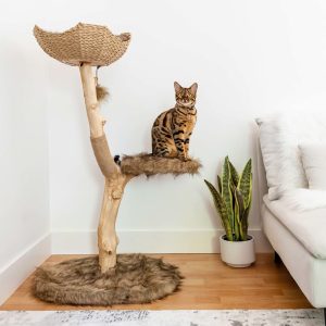 Mau Lifestyle Brown Uni Cat Tree