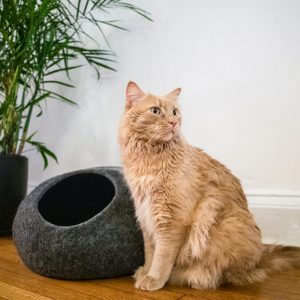 Mau Lifestyle Dark Gray Horizon Cat Cave