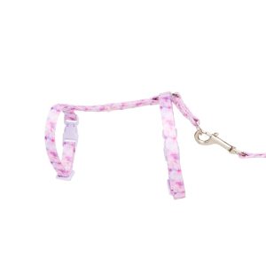 YOULY Galaxy Kitten Harness & Leash Set