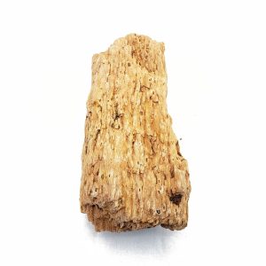Lifegard Aquatics 10 Gallon Burma Petrified Aquarium Decoration Aquascape Stone