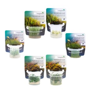 Tissue Culture Combo Pack G