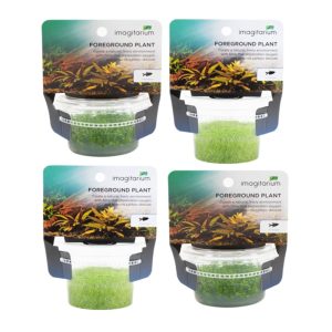 Tissue Culture Combo Pack H
