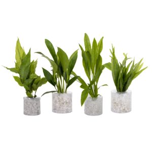 Tube Plant Combo Pack E