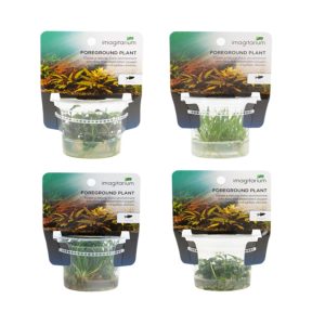 Tissue Culture Combo Pack F