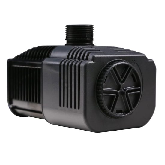 3705639-center-1.jpg