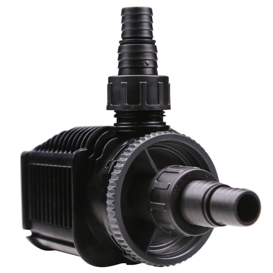 3705639-center-4.jpg