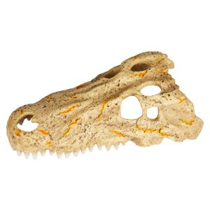 Zilla Rapid Sense Crocodile Skull