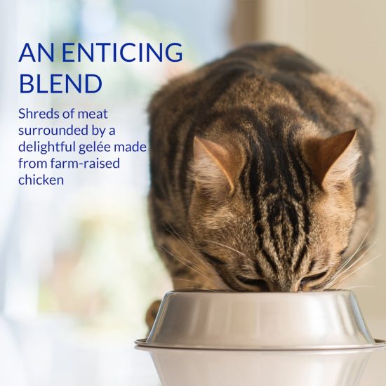 3789588-center-3.jpg 3789588-center-3.jpg