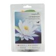 3809850-center-1.jpg
