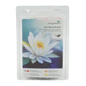 Red Water Lily