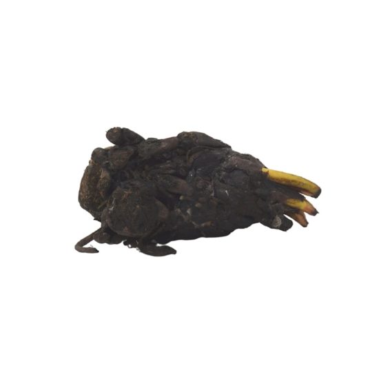 3809884-center-5.jpg 3809884-center-5.jpg