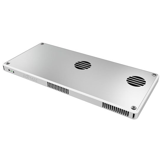 3825534-center-5.jpg