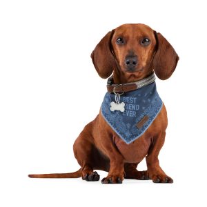 Reddy BFF Bandana for Dogs and Cats