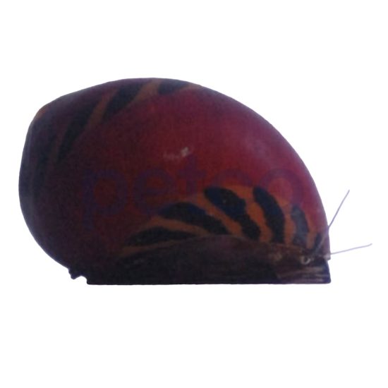 3883507-center-1.jpg 3883507-center-1.jpg