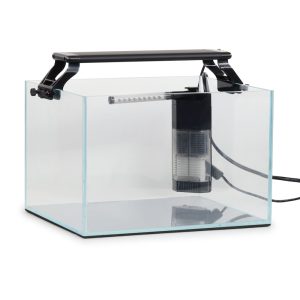 AquaZen Rimless Desktop Aquarium Kit