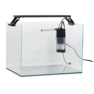 AquaZen Rimless Desktop Freshwater Planted Tank Kit