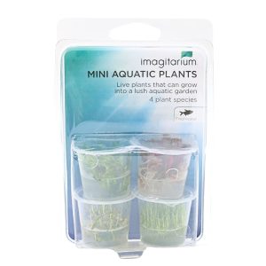 Mini 4 Pack TC Cups