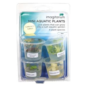 Mini 4 Pack TC Cups Collectors Edition