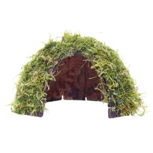 Coco Hide w/ Java Moss