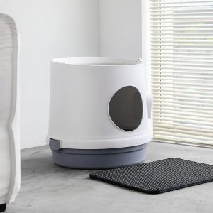 3975022-center-2.jpg