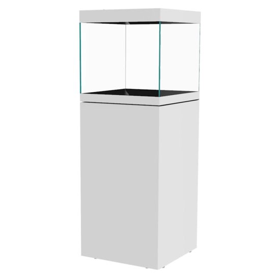 3976068-center-2.jpg 3976068-center-2.jpg