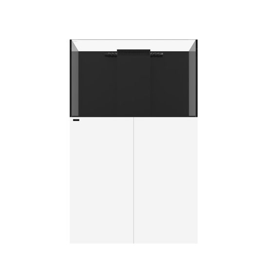 3976463-center-2.jpg