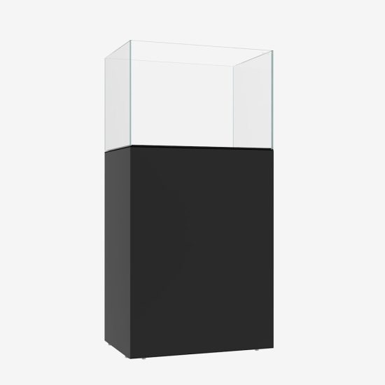 3976535-center-2.jpg