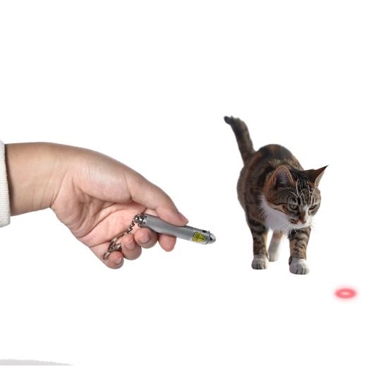 3979200-center-3.jpg 3979200-center-3.jpg