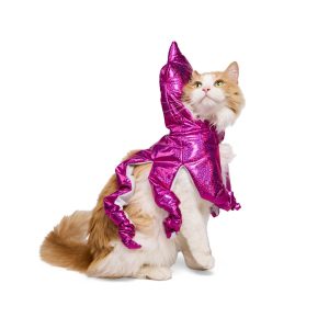 YOULY Squid Cat Costume Cape