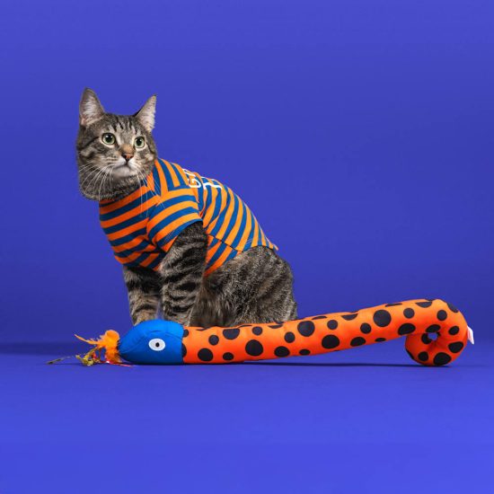 3981457-center-5.jpg 3981457-center-5.jpg