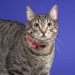 3982222-center-3.jpg