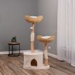 3986039-center-2.jpg