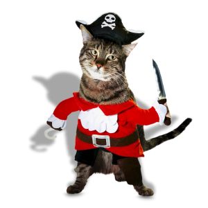 Petco Pirate 2-Piece Illusion Cat Halloween Costume